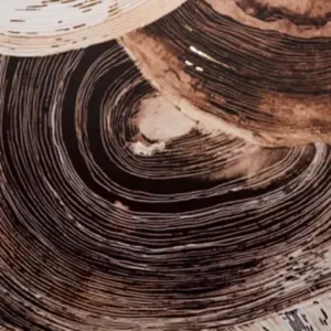 Reflet Mirror Panel — Timber Swirl (RF-006)